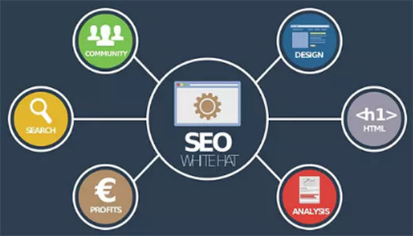 SEO、優(yōu)化、網(wǎng)站優(yōu)化